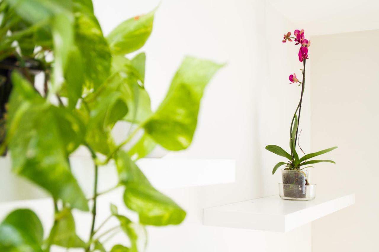 Charming Apartment In Pedregalejo Málaga Kültér fotó